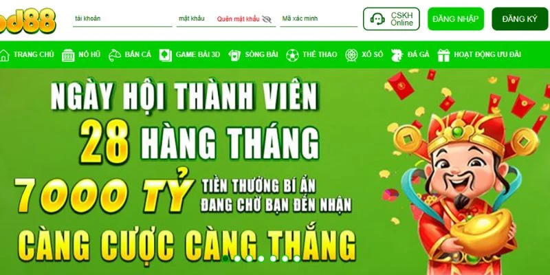 Đội ngũ chuyên gia tư vấn